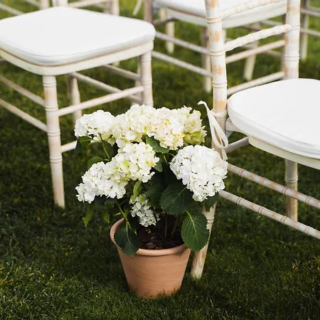 فندق Arva Santiago 4*