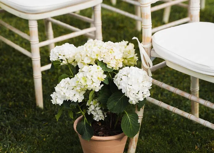 酒店 Arva Santiago 4*